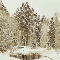 Зима :: Валерия Яскович