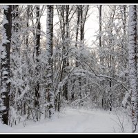Зима :: Алексей Дмитриев