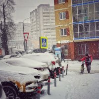 Снегопад :: Алексей Архипов