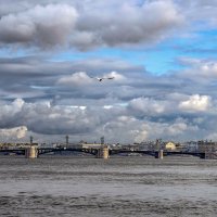 Полёт над Биржевым мостом :: Любовь Зинченко 