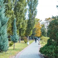 Осень  в Гагаринском парке :: Валентин Семчишин