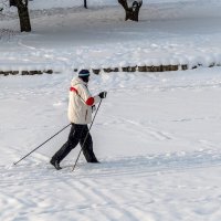 Лыжный сезон начался :: Валерий Иванович