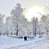 В старом парке Победы. :: Восковых Анна Васильевна 