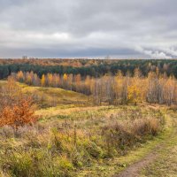 Палитра октября... :: Владимир Жданов