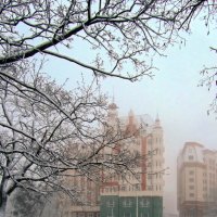 В легком тумане :: Сергей Карачин