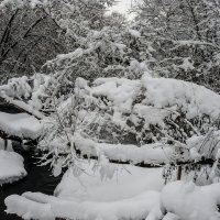 снеговой перекат :: Виталий Емельянов