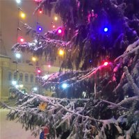 Мороз,метель,снежинок круговерть и Новый год всё ближе,ближе! :: Нина Андронова