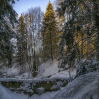 Про зиму :: Сергей Цветков