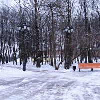 Зимний парк :: Ната57 Наталья Мамедова