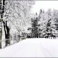 В парке тихо шёл снег - 2 :: Сергей 