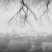 Город туманом окутан... :: Владимир Шошин