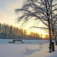 Зимний закат. :: VasiLina *