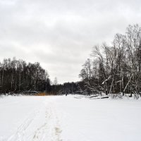 Зимой :: AleksSPb Лесниченко