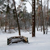 Про зиму. :: Милешкин Владимир Алексеевич 