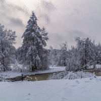 Зима в Подмосковье :: Андрей Дворников