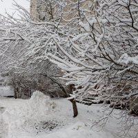Зима :: Елена Семигина