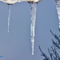 Сосули. :: Восковых Анна Васильевна 