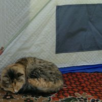 В палатке. :: сергей 