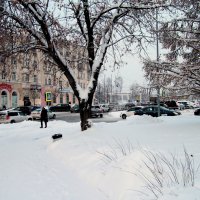 Зима в городе. :: Евгений Шафер