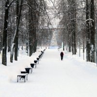 Зима в городе. :: Евгений Шафер