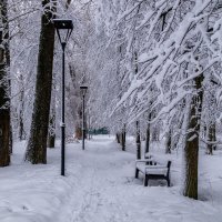 Зимний парк 02 :: Андрей Дворников