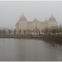 замок Moritzburg(замок Золушки) :: Светлана Баталий