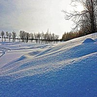 Глубокие снега на протоке Акопас! :: Владимир 