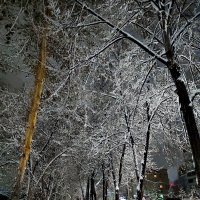 снег :: Евгений Фролов