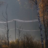 Васильково, осень, туман... :: Галина Лубянникова 