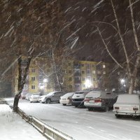 А снег идёт, а снег идёт.... :: Галина Минчук
