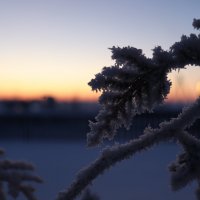 Снежная гирлянда на фоне заката :: Ринара Масальникова