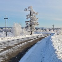 Вдоль дороги :: Владимир Звягин