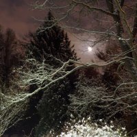 Зимняя ночь :: Петр Мерзляков