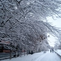 Зимой в городе :: Елена Семигина