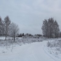зима :: Владимир Зеленцов