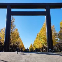 Тории Xрама Ясукуни Yasukuni Jinja Токио Япония :: wea *