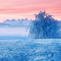 winter,s fairytale :: Elena Wymann