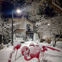 Сквер в снегу :: Геннадий Б
