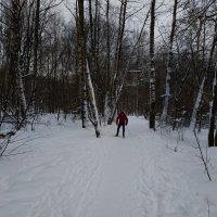 Настоящему лыжнику сезон ЧБ фотографии - не помеха :: Андрей Лукьянов