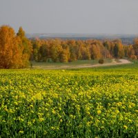 Цветущая осень. :: nadyasilyuk Вознюк
