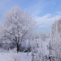 Зимний голубой денёк :: Наталия Григорьева