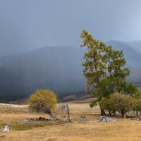 Дождь в горах Алтая :: Марина Фомина.