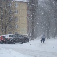 Снегопад :: Елена Семигина