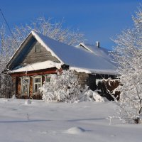 Зима. :: Михаил Колосов 