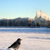 Зимний Санкт-Петербург :: Виктор Скайбери