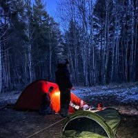 Ночь в лесу :: Георгиевич 