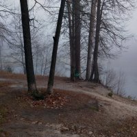Туман :: Лидия (naum.lidiya)