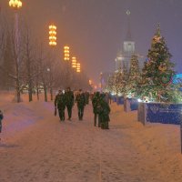 Прогулка по ВДНХ в снегопад :: Yevgeniy Malakhov