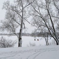 В зимнем парке... :: Мария Васильева