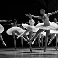 Артисты театра «Кремлёвский балет» на репетиции («Баядерка») :: Светлана Яковлева